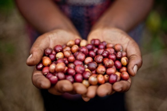 37008223-CB8E-46EB-86E6-46D4D71CF910