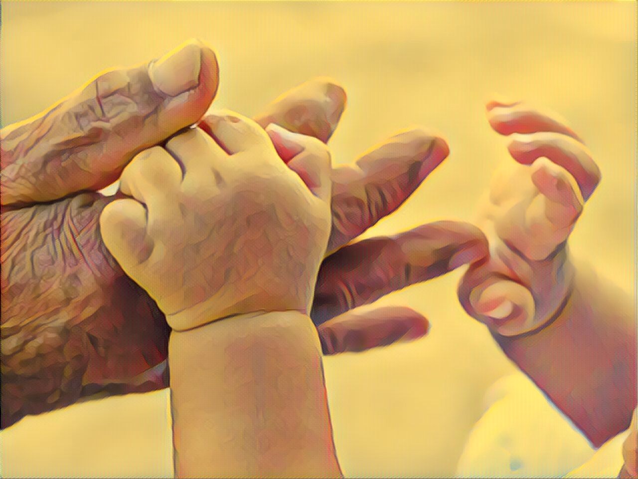 6FADA66C-8818-447E-B829-191FA02B0650